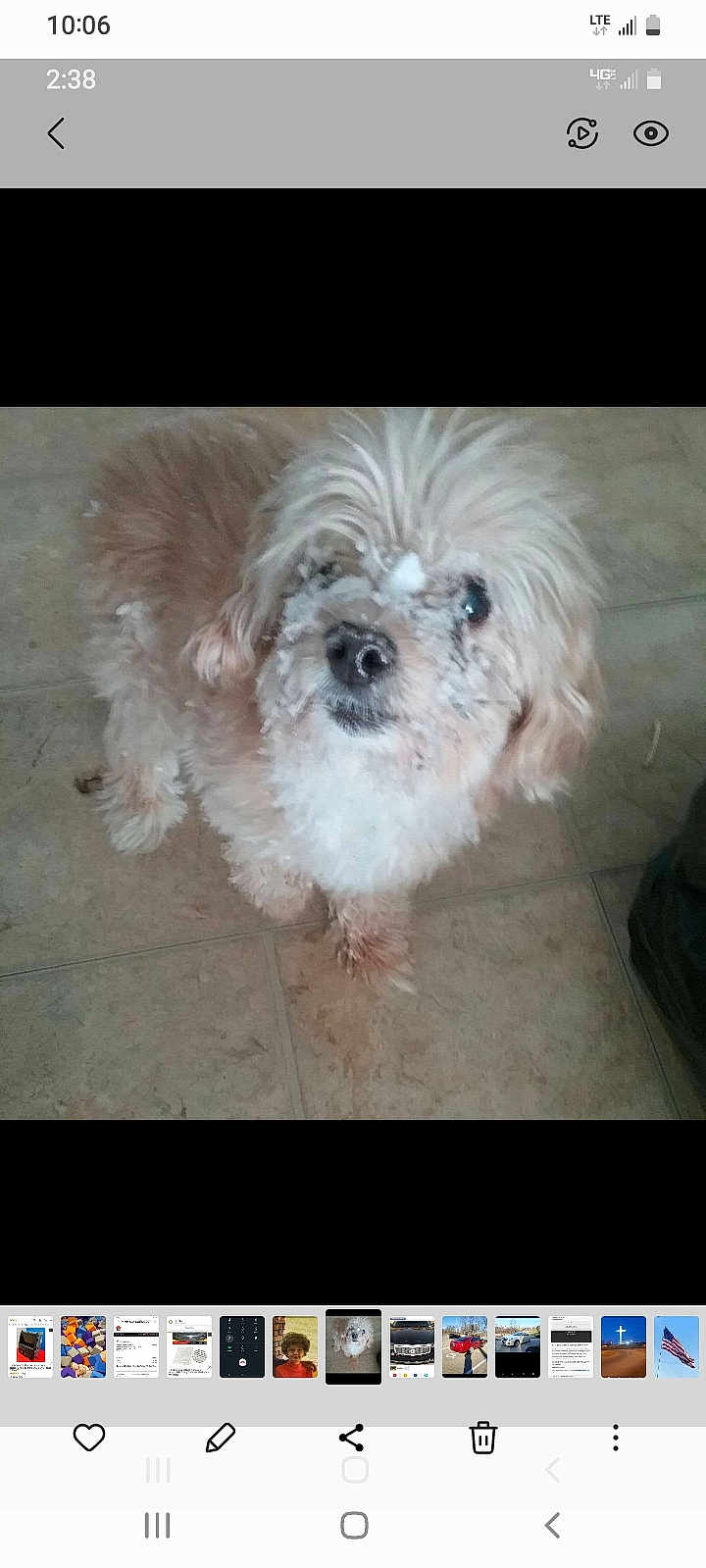 Pogo