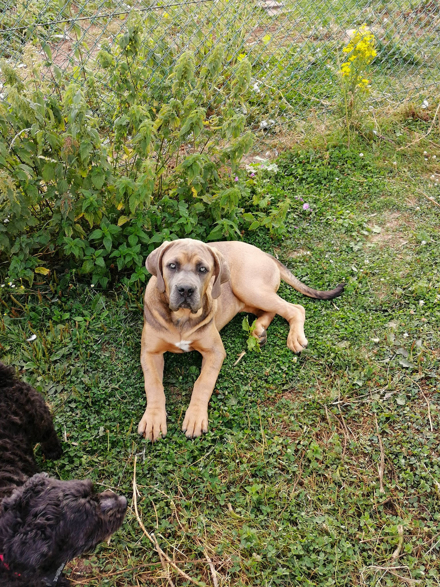 Boss a rejoint le concours — aidez-le/la à gagner de superbes lots !