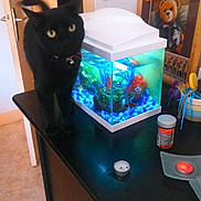 Heineken participe au concours pour gagner de l'argent avec cette photo :