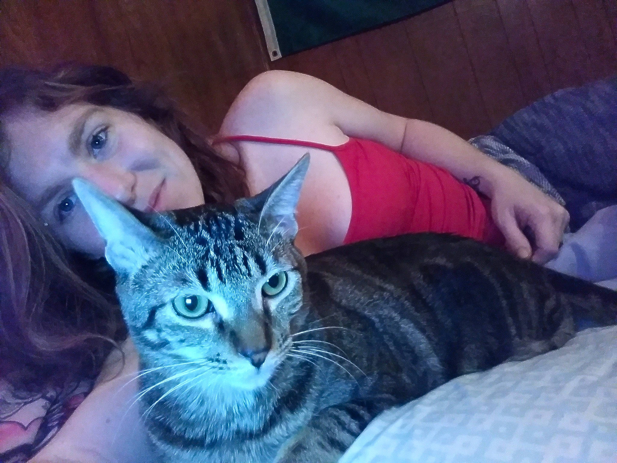 Ziggy joined the competition — help win amazing prizes! arm, carnivore, cat, comfort, cool, couch, eye, felidae, grass, hair, head, human_leg, lap, leg, mammal, shoulder, small_to_medium_sized_cats, textile, thigh, whiskers