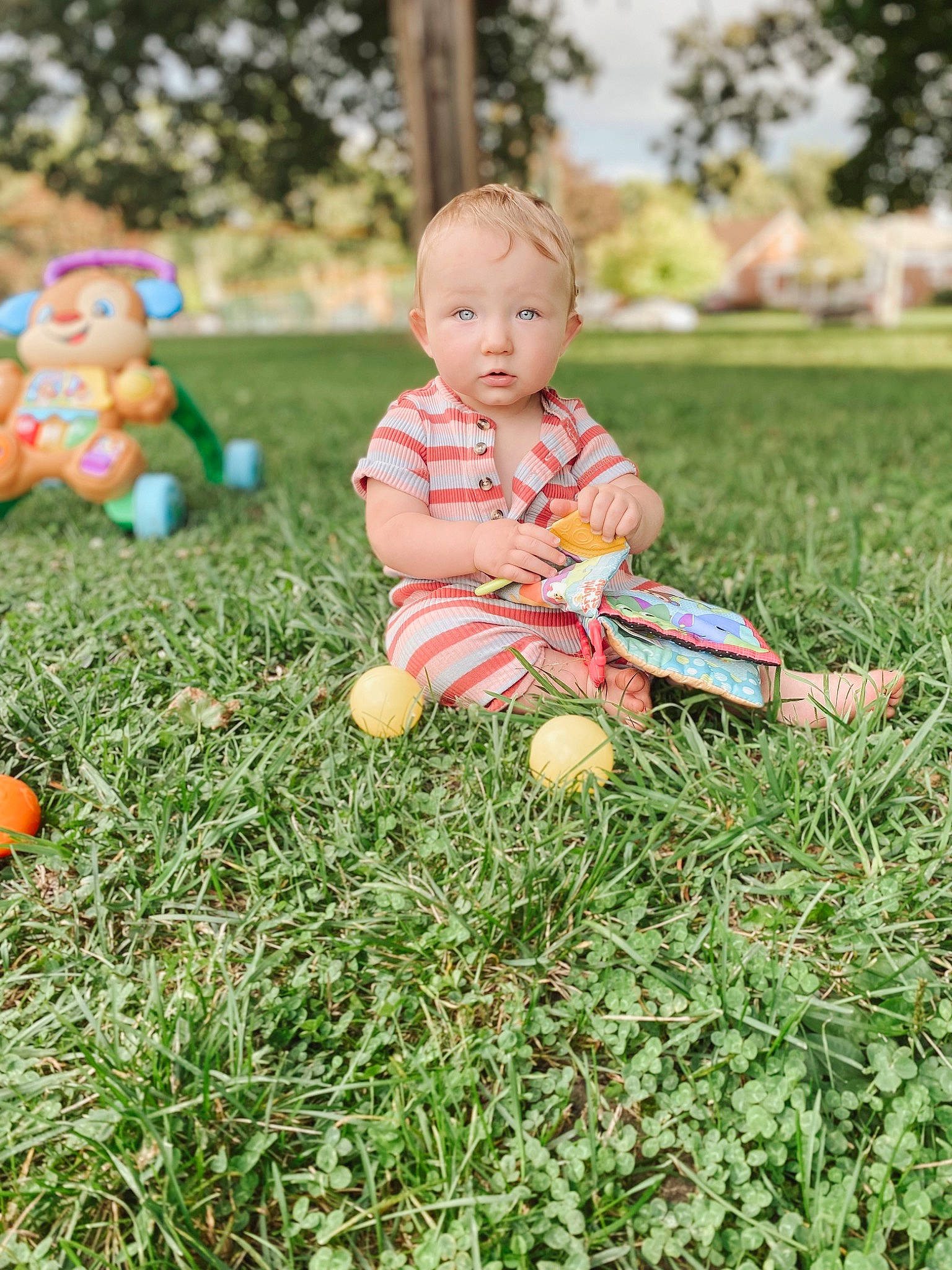 Xander is registered to the contest to win money with this photo: baby, baby_toddler_clothing, child, finger, grass, grass_family, hand, happy, leaf, leg, leisure, people_in_nature, person, plant, playing_with_kids, recreation, summer, toddler, toy, tree