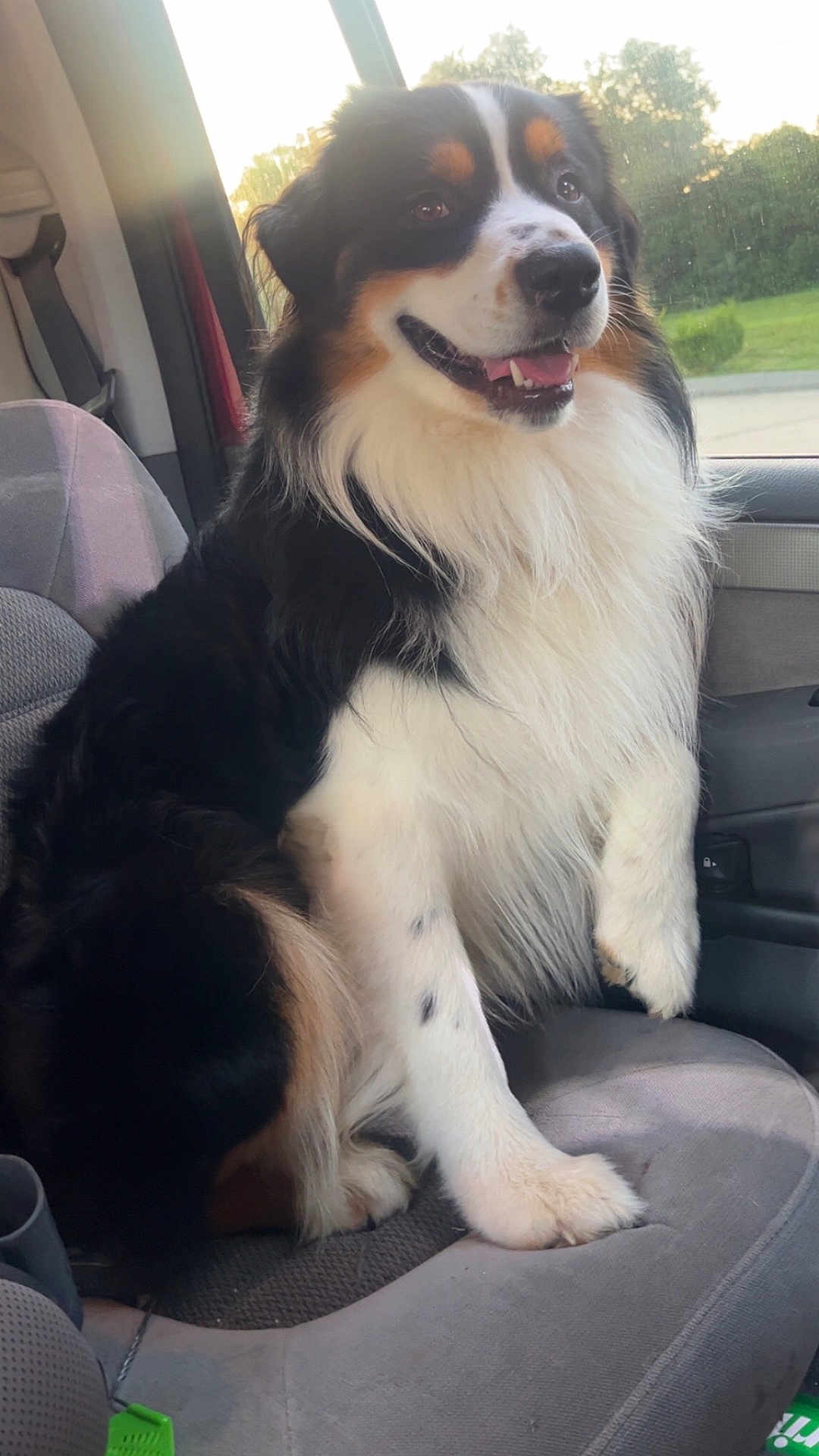 Finley