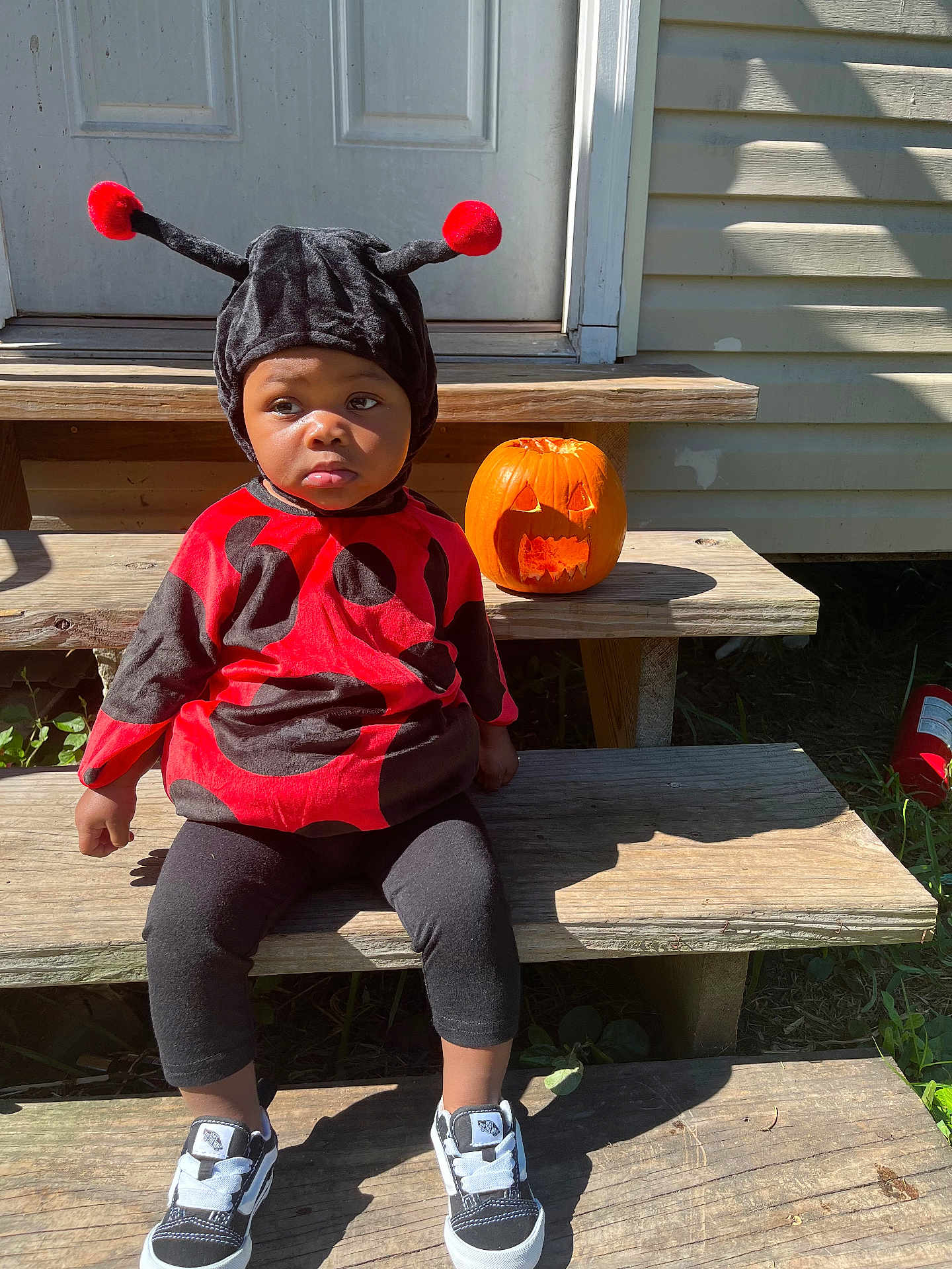Milani joined the competition — help win amazing prizes! child, costume, ladybug, pumpkin, jackolantern, steps, outdoor, sunlight, black, red, hat, shoes, wood, person, fall, halloween, cute, expression, sitting, holiday