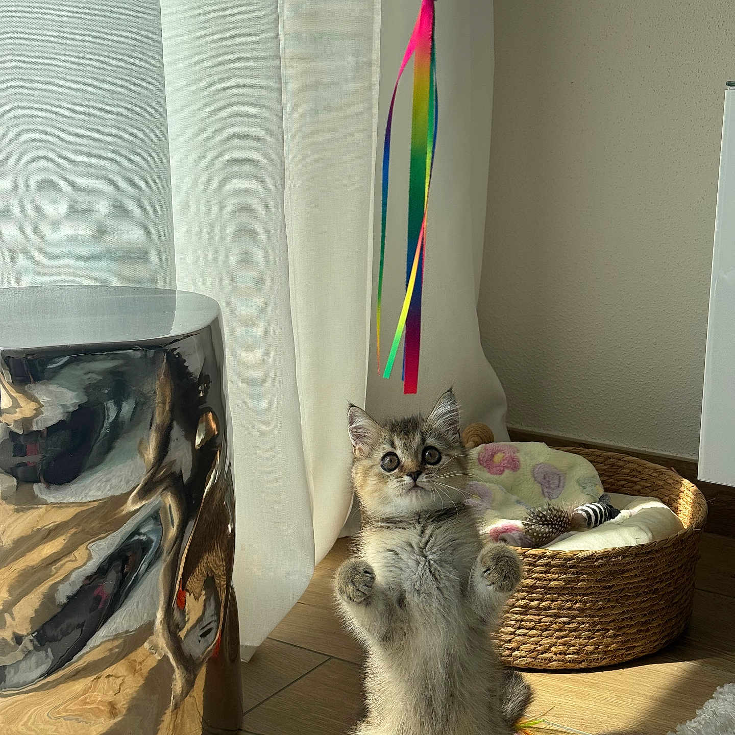 Arya