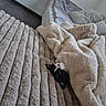 cat, black_and_white_cat, blanket, bed, cozy, furry, indoor, resting, snuggled, soft_texture, textured_bedspread, warm, cute, pet, sleepy, comfortable, fur, animal, relaxing, home