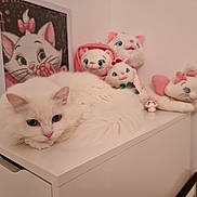 Perle a rejoint le concours — aidez-le/la à gagner de superbes lots ! cat, white_cat, blue_eyes, plush_toys, stuffed_animals, cabinet, indoor, decor, feline, cute, cozy, collection, portrait, animal, pet, resting, soft, pink, white, home