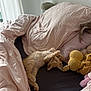 kitten, cat, bed, bedding, blanket, pillow, stuffed_toy, sleeping, cozy, indoor, cute, pet, fur, relaxing, resting, pink, purple, soft, animal, feline