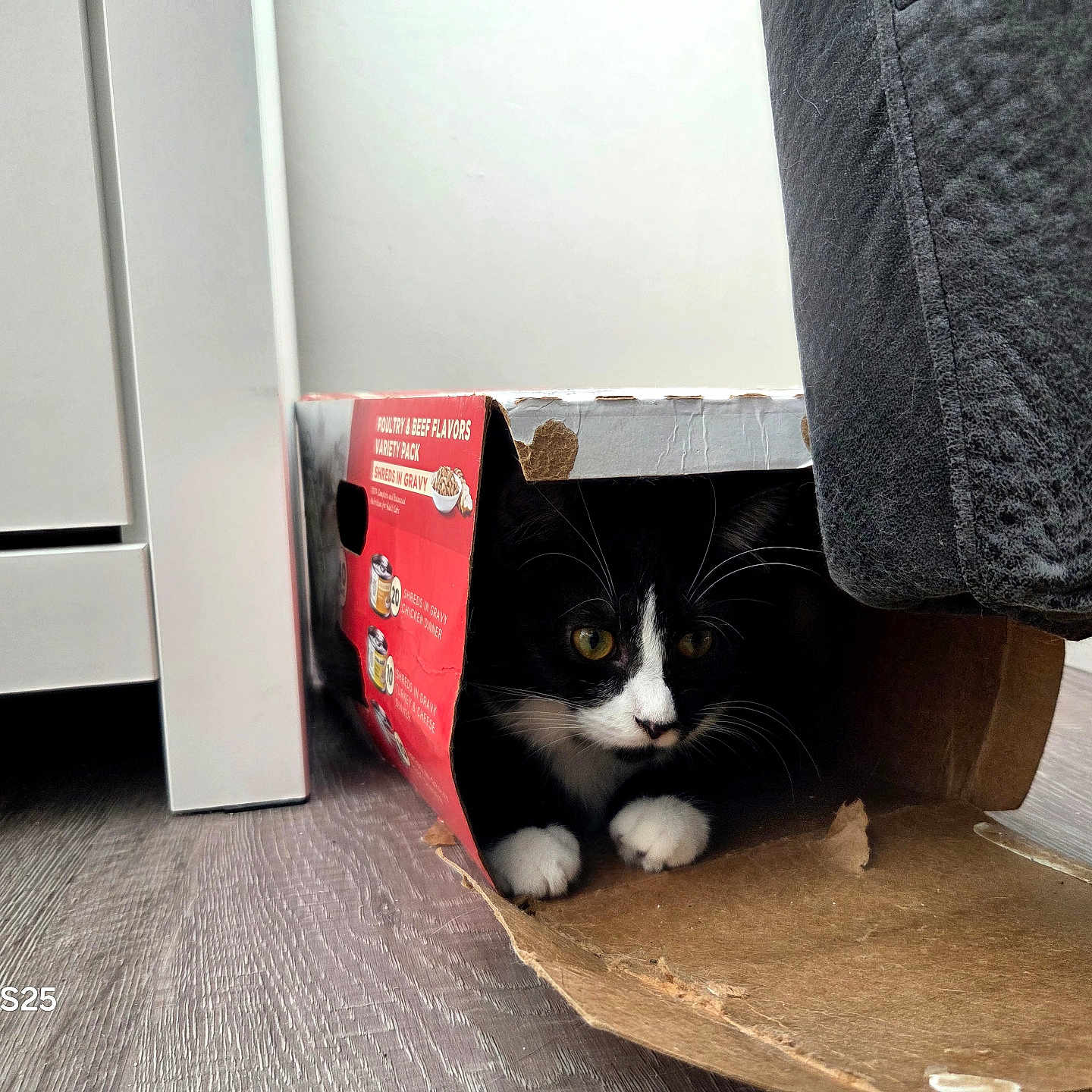 Bootsie