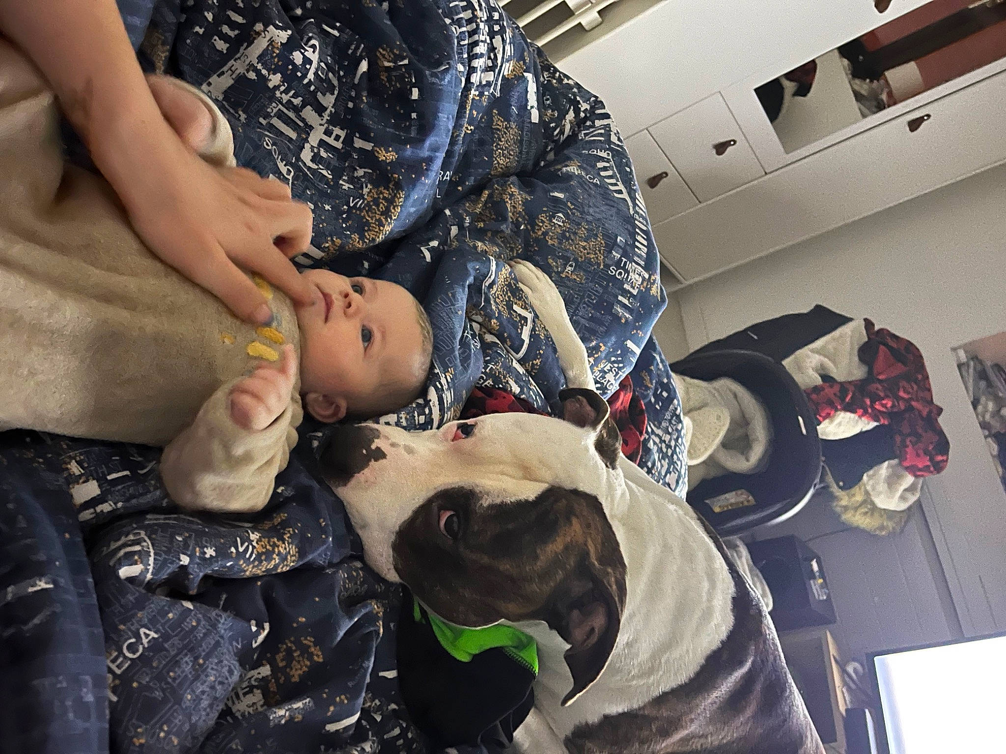 Kathalya participe au concours pour gagner de l'argent avec cette photo : army, child, eyewear, fashion_accessory, fashion_design, flesh, fun, fur, gesture, headgear, human_leg, military, military_camouflage, military_uniform, nail, pattern, person, personal_protective_equipment, room, sitting