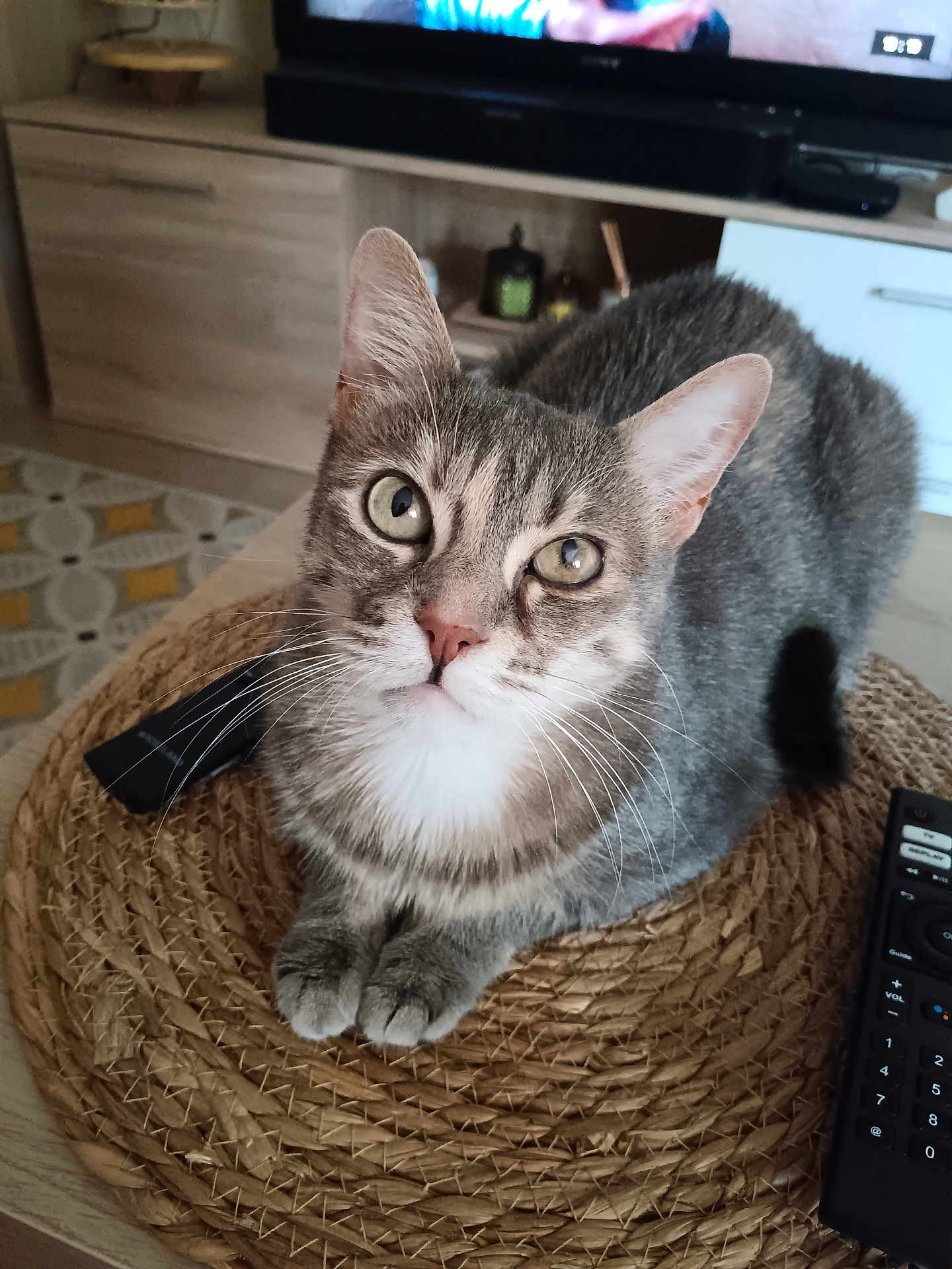 Zina