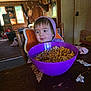 breakfast, cereal, chair, child, curious_expression, deer_mounts, family_photos, food, high_chair, home, indoor, messy_table, person, purple_bowl, purple_hoodie, rustic_room, snack_time, toddler, window, wooden_table