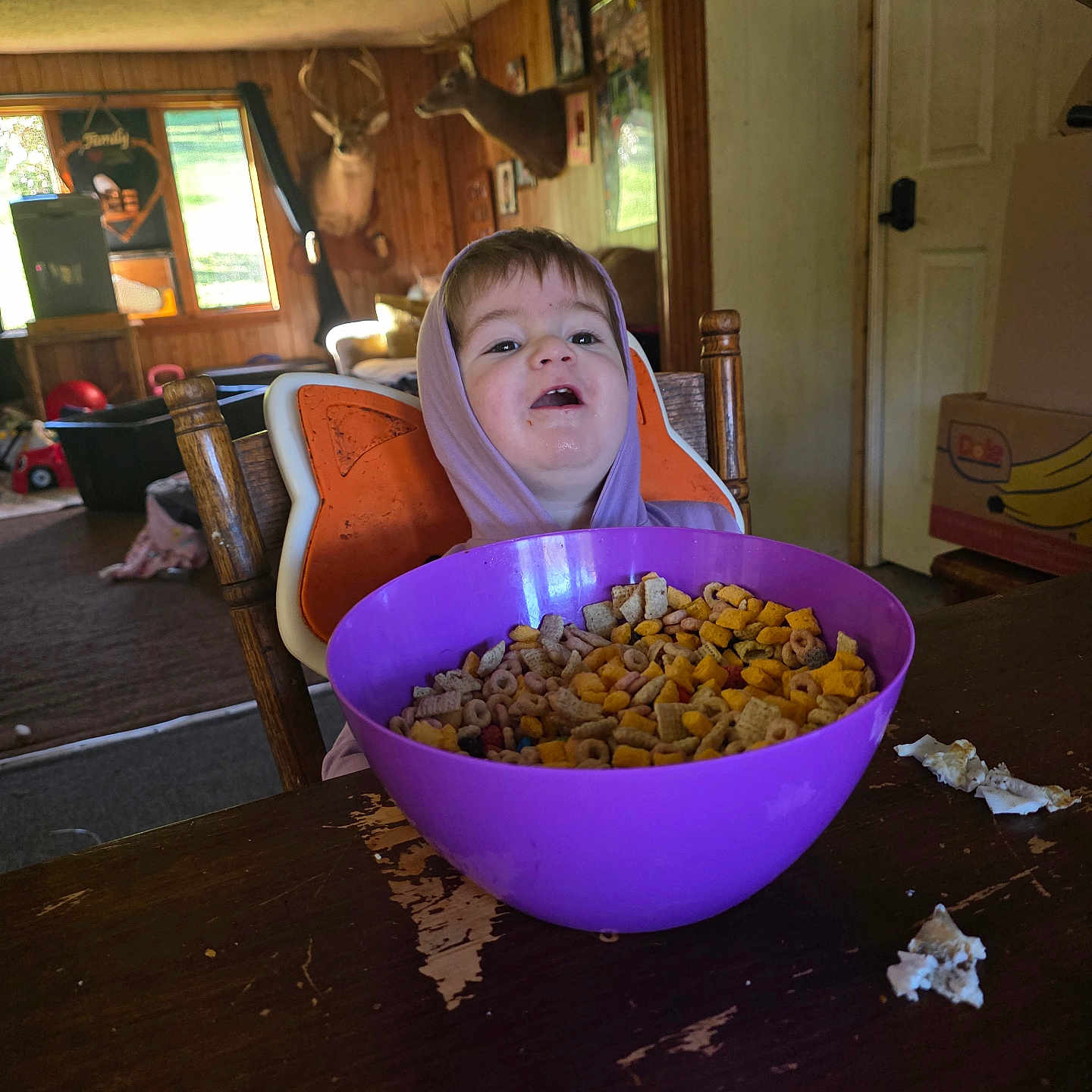 Samuel joined the competition — help win amazing prizes! box, breakfast, cabin, carpet, cereal, child, deer_mounts, door, face, food, hoodie, indoor, person, purple_bowl, rustic, snack, table, toy, window, wooden_chair
