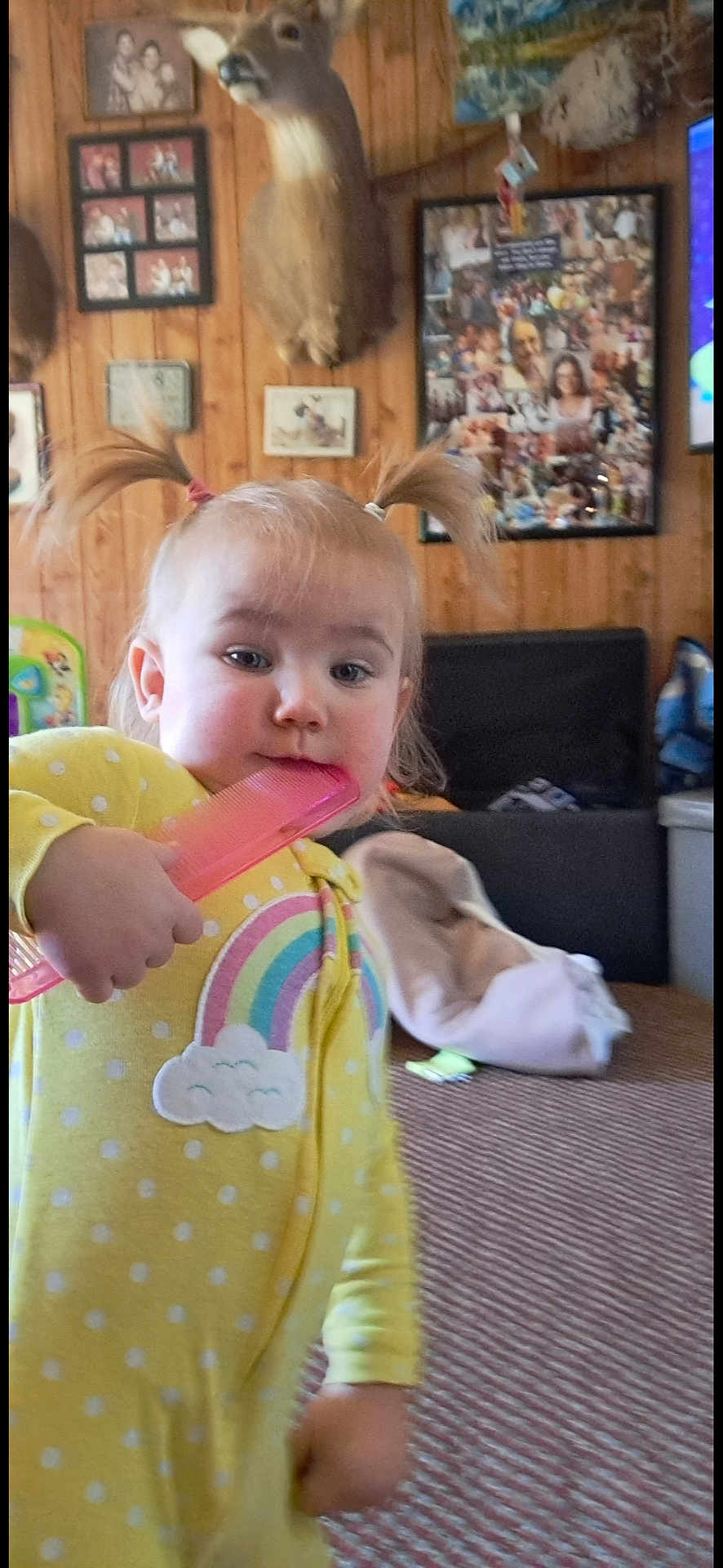 Zamara joined the competition — help win amazing prizes! toddler, child, yellow_onesie, pigtails, comb, indoor, carpet, wood_paneling, deer_head, family_photos, rainbow, polka_dots, furniture, living_room, cute, portrait, person, baby, smiling, playful