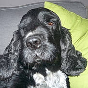 LOLA a rejoint le concours — aidez-le/la à gagner de superbes lots !