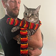 Baby Groot joined the competition — help win amazing prizes! man, beard, cat, tabby_cat, scarf, knitted_scarf, holding, indoor, portrait, animal, pet, colorful, striped, calm, person, human, feline, warm_clothing, casual, gentle