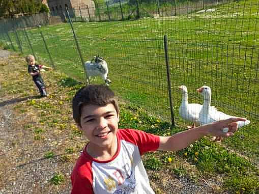 Kylian a rejoint le concours — aidez-le/la à gagner de superbes lots ! beak, bird, blurred, joy, person, pigeons_and_doves