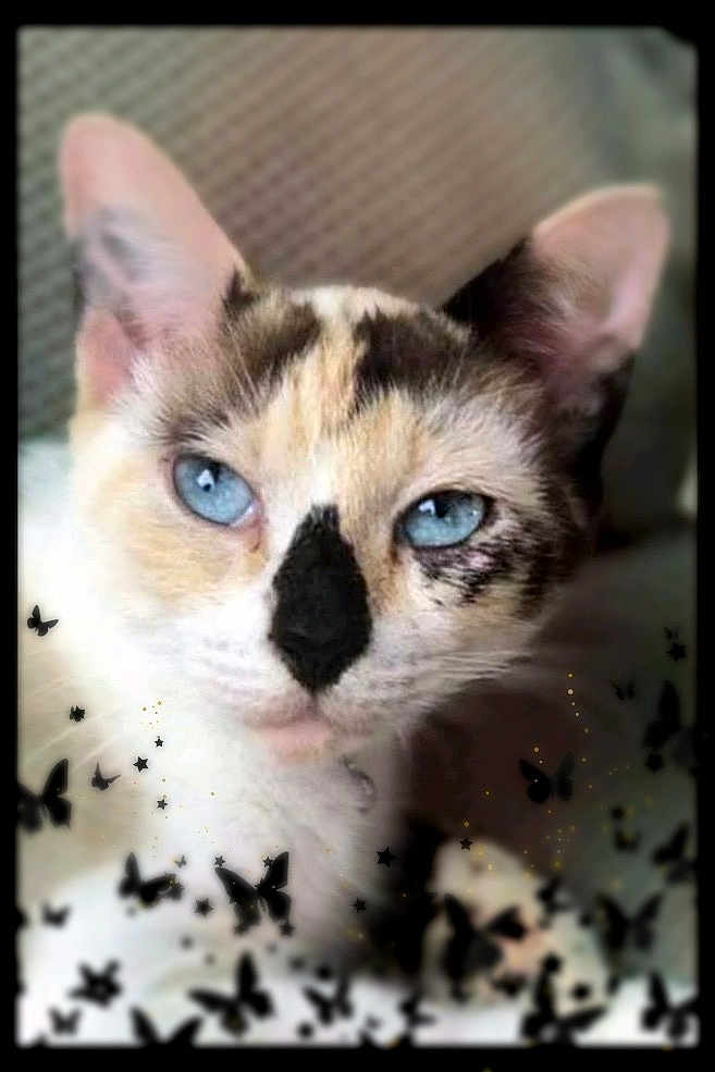 Billie