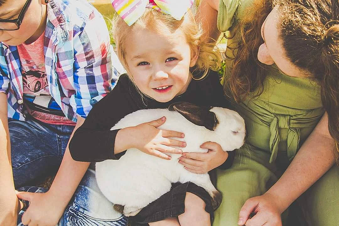 Ava Lynn is registered to the contest to win money with this photo: baby, baby_toddler_clothing, child, event, family, family_pictures, finger, fun, gesture, grass, happy, head, lap, people_in_nature, person, playing_with_kids, sitting, skin, smile, stuffed_toy