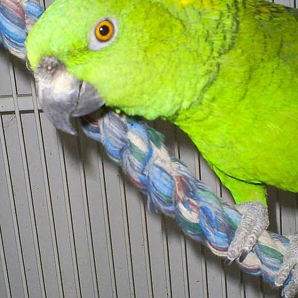 Sabrina
