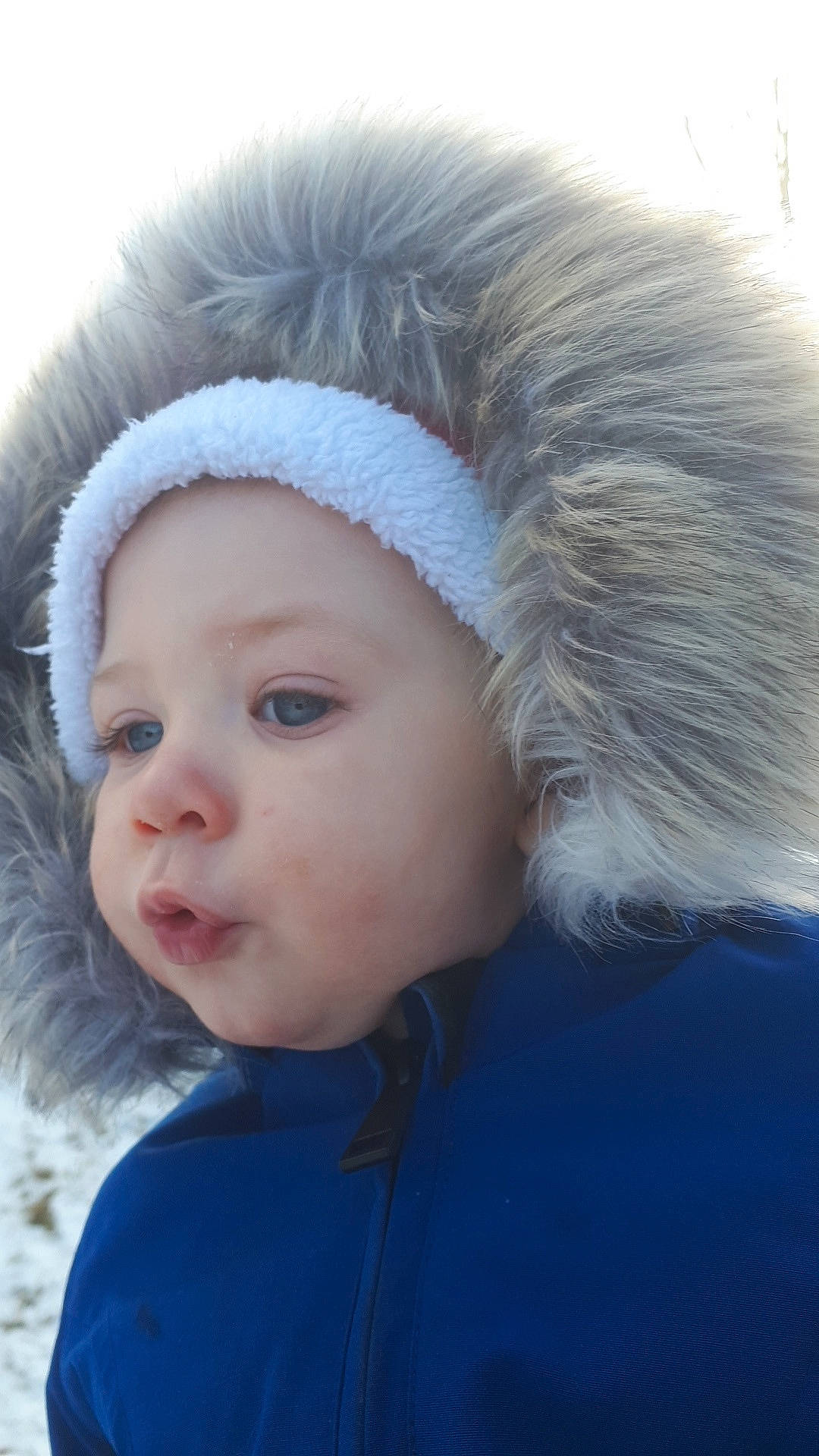 Calum joined the competition — help win amazing prizes! baby, blue, cheek, child, chin, clothing, ear, eyebrow, face, forehead, fur, hair, hair_accessory, head, headgear, knit_cap, lip, nose, person, skin