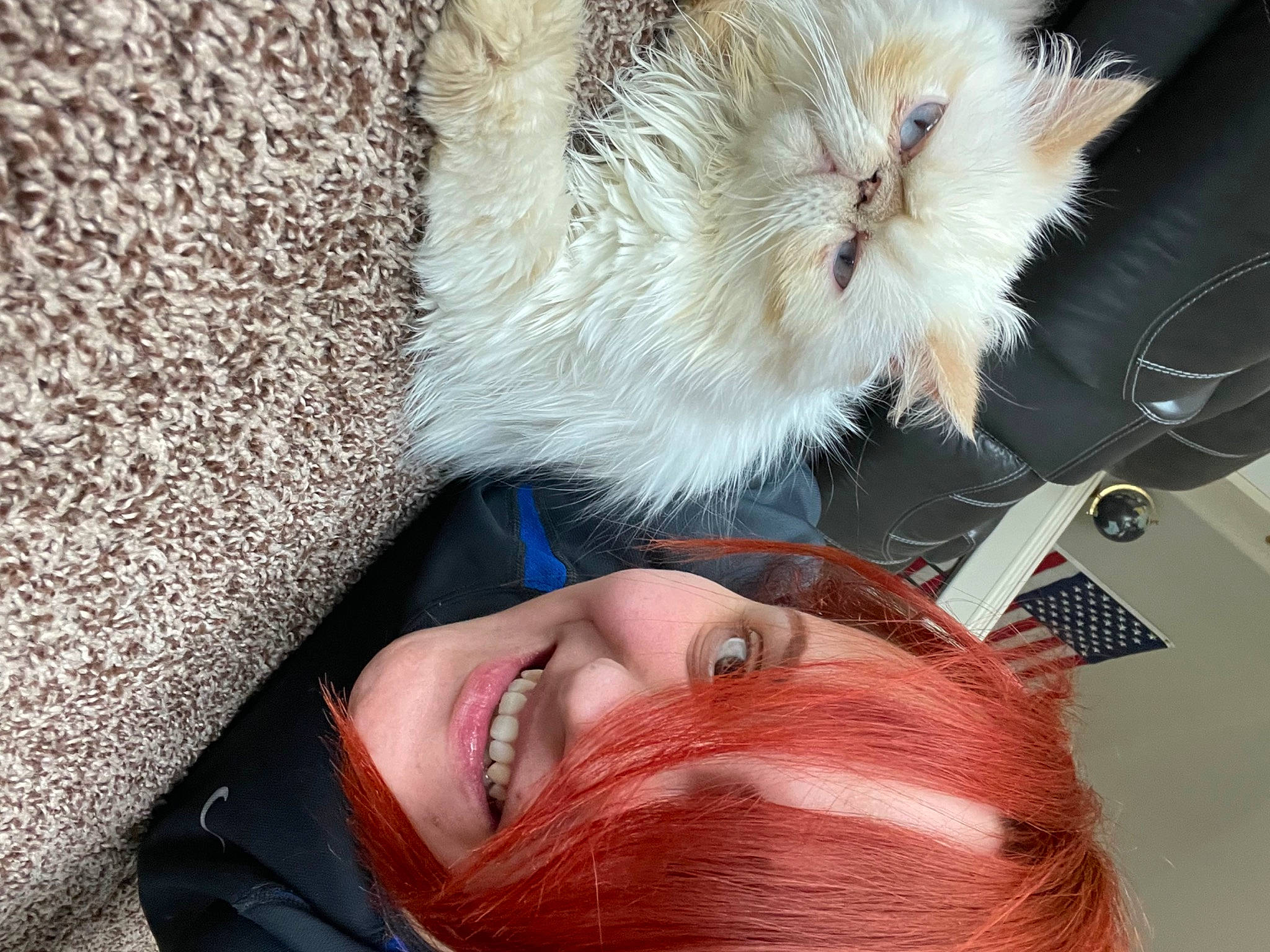 Jake is registered to the contest to win money with this photo: carnivore, cat, companion_dog, eyelash, eyewear, fawn, felidae, fur, gesture, glasses, plant, selfie, skin, small_to_medium_sized_cats, snout, sunglasses, tail, textile, tree, whiskers