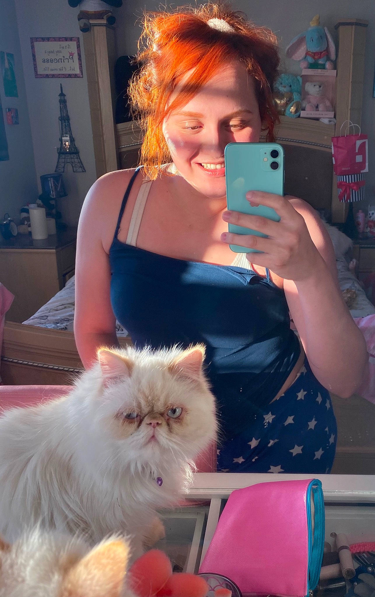 Abby joined the competition — help win amazing prizes! beauty, british_longhair, carnivore, cat, companion_dog, electric_blue, fawn, felidae, fur, happy, jewellery, necklace, photograph, picture_frame, ragdoll, red_hair, small_to_medium_sized_cats, smile, snapshot, whiskers