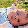 baby, infant, face, portrait, outdoor, grass, blanket, sunlight, skin, clothing, closeup, young_child, nature, peaceful, cute, head, eyelashes, expression, soft_texture, resting