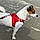 Aurélia P.