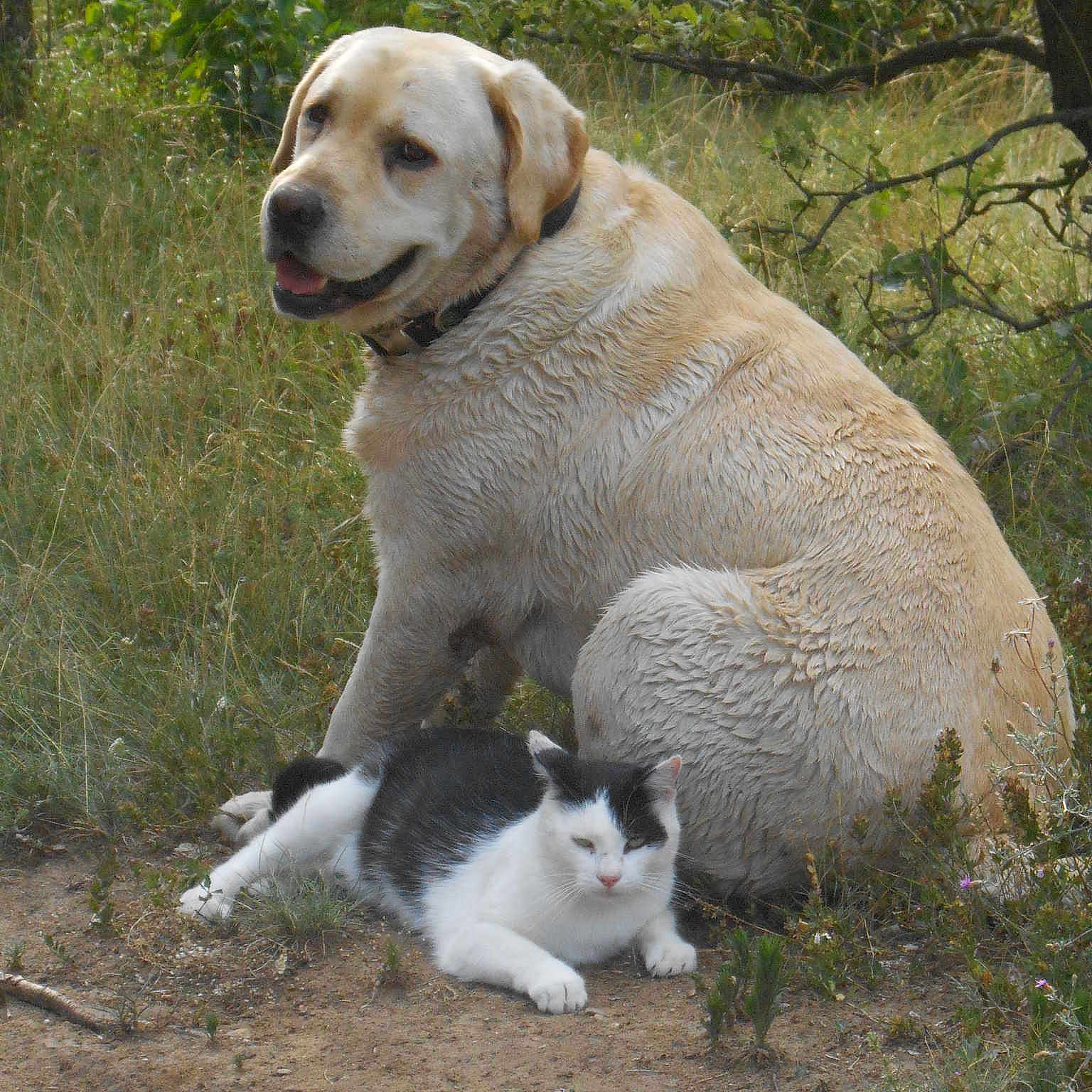 Cycla a rejoint le concours — aidez-le/la à gagner de superbes lots !