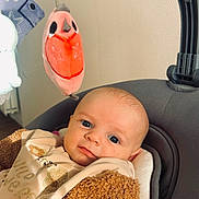 Adélya participe au concours pour gagner de l'argent avec cette photo : baby, infant, plush_toy, orange, bird, cushion, seat, clothing, brown_jacket, indoor, face, looking, curious, soft_light, toy_hanger, child, portrait, cute, warm, comfort