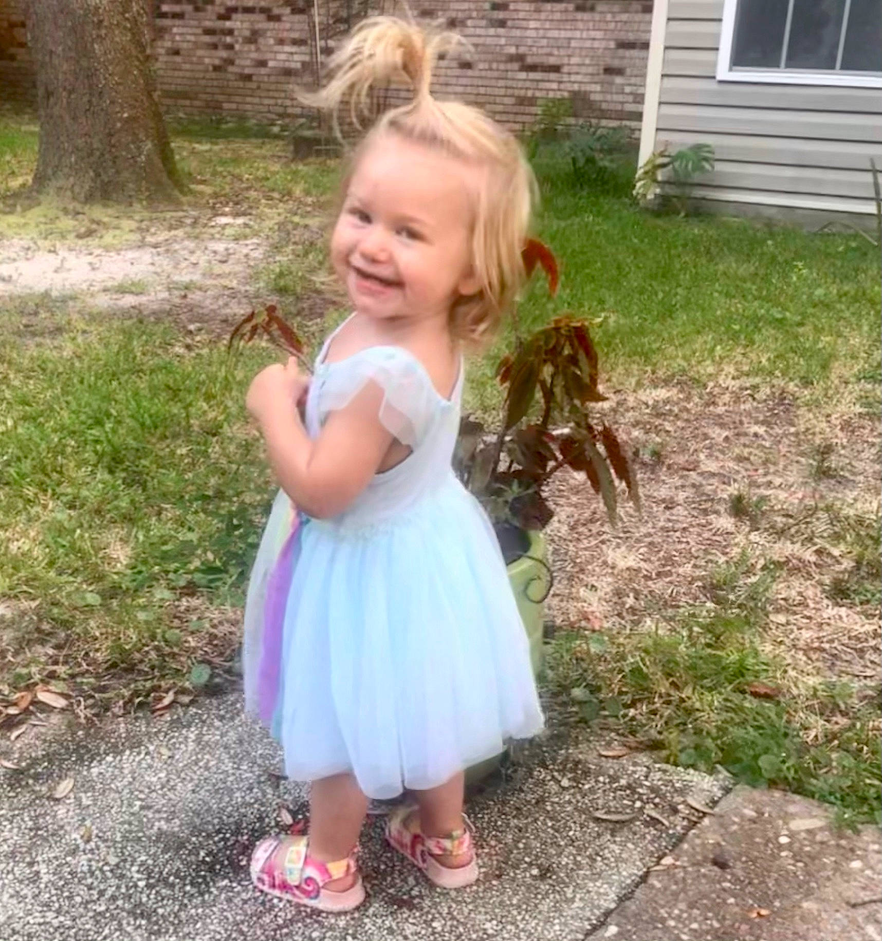 Elli is registered to the contest to win money with this photo: baby_toddler_clothing, botany, day_dress, dress, eye, fun, garden, grass, grass_family, hair, happy, joy, lawn, people_in_nature, person, pink, plant, sandal, smile, toddler
