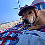 Rouky participe au concours pour gagner de l'argent avec cette photo : animal, beach, blanket, blue, canine, cap, daytime, dog, leisure, ocean, outdoor, people, pet, relaxing, sand, sky, summer, sunny, umbrella, vacation