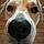 Mr.bojangles