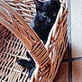 black_cat, kitten, basket, wicker, curious, pet, indoor, floor_tiles, animal, cute, small, feline, resting, natural_light, brown, woven, texture, domestic, young_cat, cozy