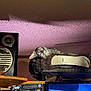 animal, cat, cat_perch, clutter, electronics, furniture, indoor, living_room, media, pet, relaxed, retro, screen, sleepy, speaker, stack, tabby_cat, television, vhs_tapes, wooden_shelf