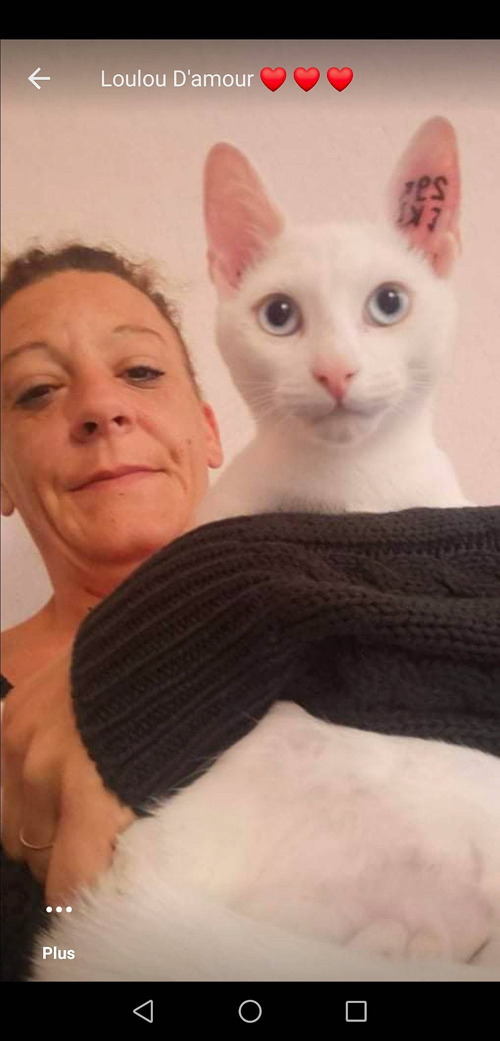 Flocon a rejoint le concours — aidez-le/la à gagner de superbes lots ! carnivore, cat, comfort, domestic_short_haired_cat, ear, fawn, felidae, formal_wear, fur, gesture, happy, jewellery, neck, paw, small_to_medium_sized_cats, smile, snout, tail, whiskers