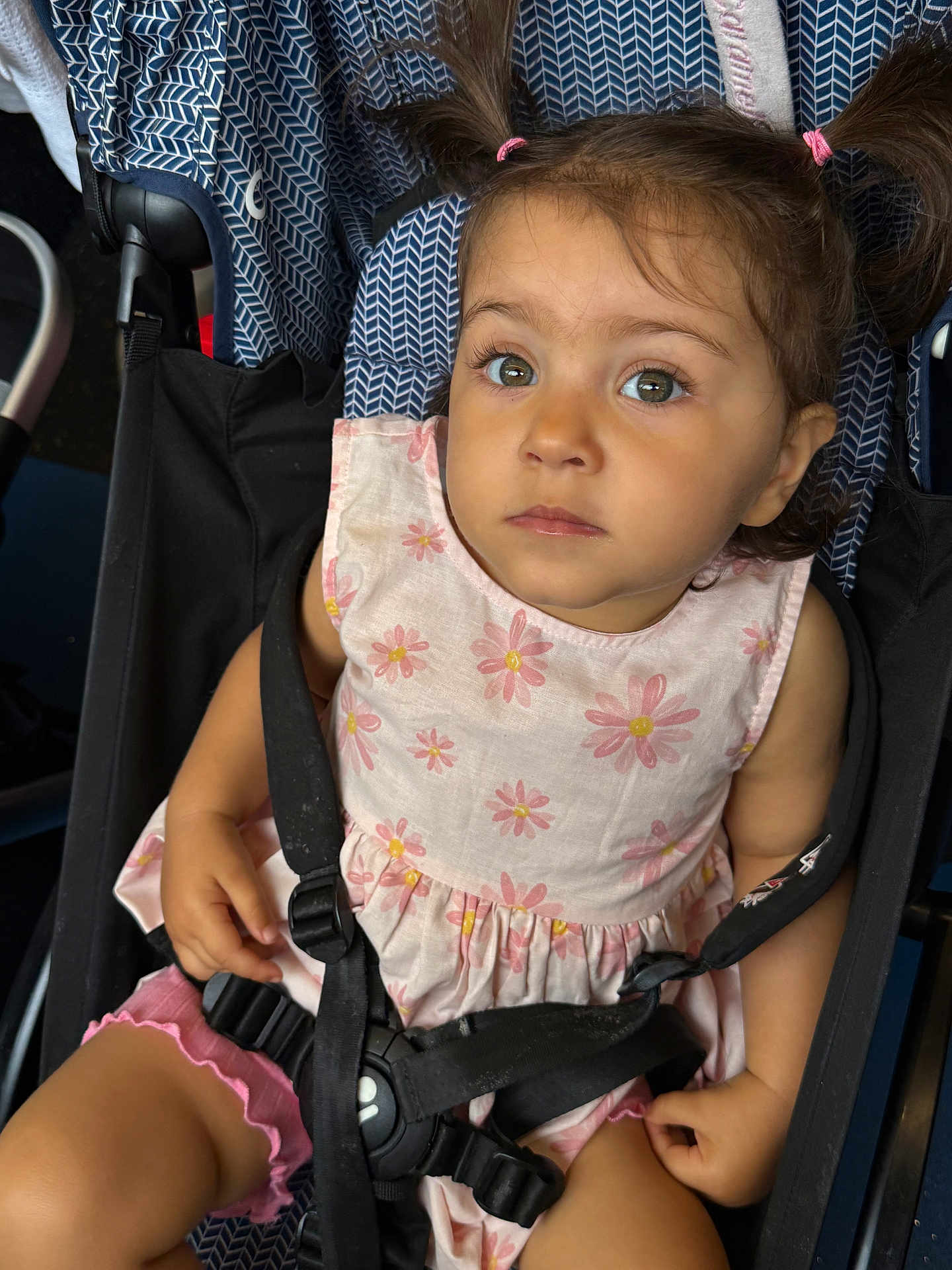 Delyar is registered to the contest to win money with this photo: toddler, child, stroller, pink_dress, pigtails, seatbelt, curious, expression, indoor, person, baby, clothing, seat, safety_harness, cute, portrait, young_child, small_hands, looking_up, casual