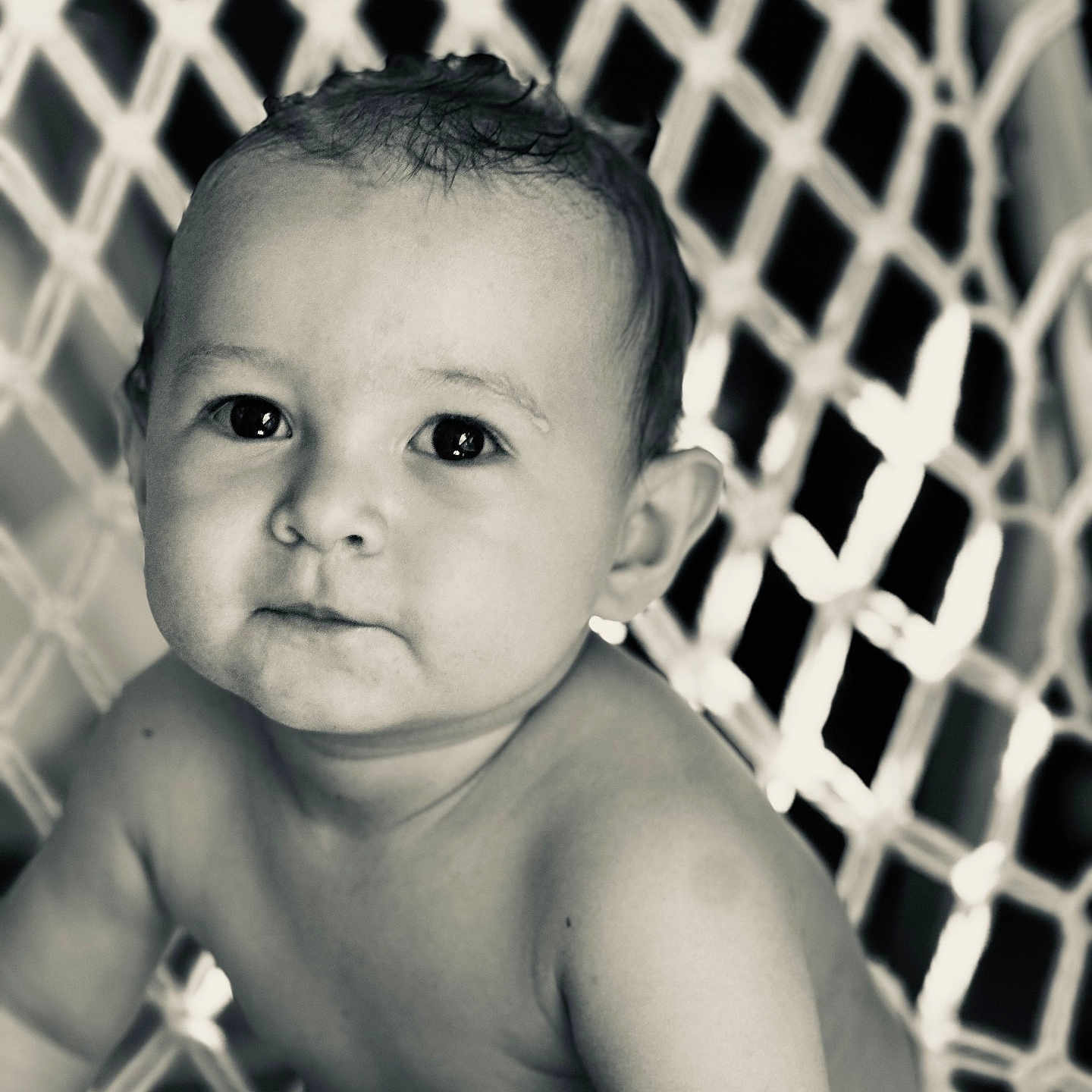 Elio Sovrano a rejoint le concours — aidez-le/la à gagner de superbes lots ! baby, bare_chest, black_and_white, child, closeup, curious, cute, expression, eyes, face, hammock, head, indoors, infant, person, portrait, sitting, skin, soft_light, young