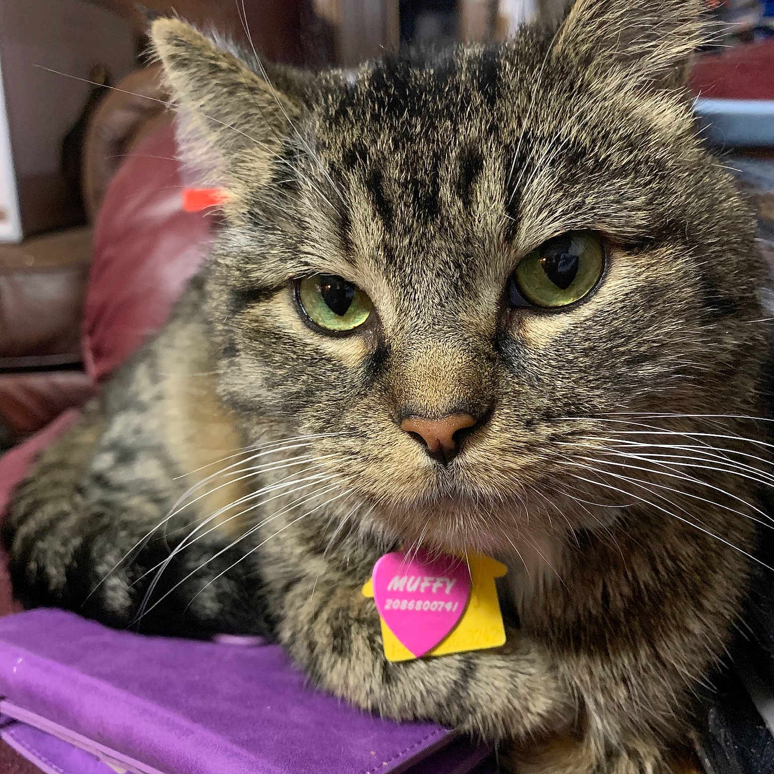 Handsome Man