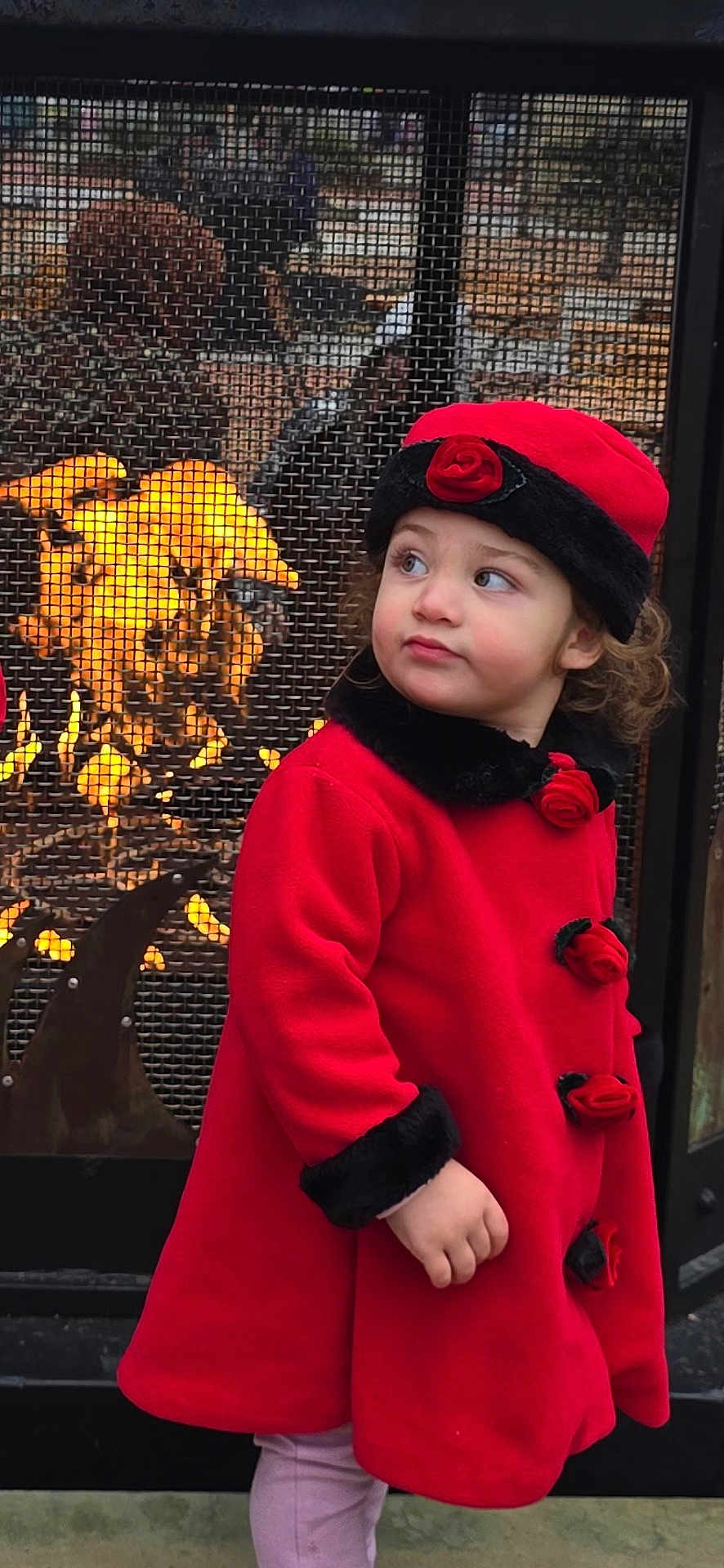Kayan is registered to the contest to win money with this photo: toddler, child, red_coat, hat, roses, fireplace, fire, mesh_screen, outdoor, winter_clothing, curious, portrait, warm, glowing, face, person, standing, looking_away, cute, seasonal