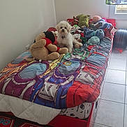 Puffy participe au concours pour gagner de l'argent avec cette photo : bed, bedroom, childrens_room, colorful_bedding, comforter, curtain, dog, kids_decor, natural_light, pillow, plush, race_car_bed, small_dog, stuffed_animal, stuffed_toy, tiled_floor, toy_collection, wall, white_dog, window