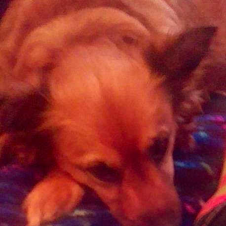 Sadie