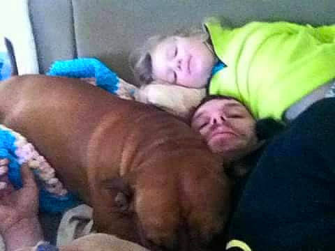 Buddha The Ol Man Dog is registered to the contest to win money with this photo: baby, bedtime, carnivore, child, cloud, comfort, companion_dog, dog, dog_breed, ear, fawn, fun, fur, happy, liver, nap, puppy_love, sporting_group, toddler, working_animal