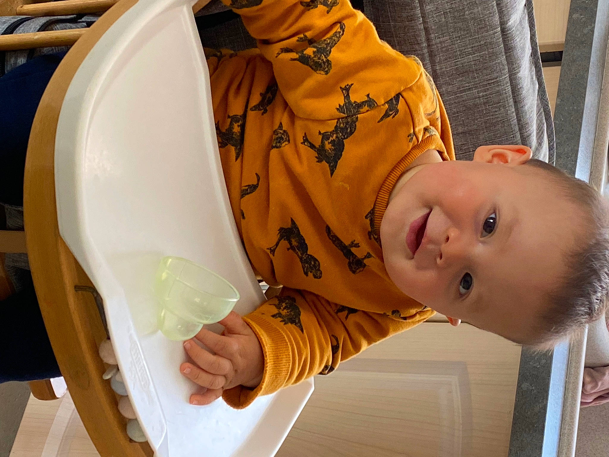 Abel participe au concours pour gagner de l'argent avec cette photo : baby, baby_products, baby_safety, baby_toddler_clothing, cheek, child, circle, comfort, fun, happy, leisure, person, room, sitting, sleeve, smile, toddler, tree, wood