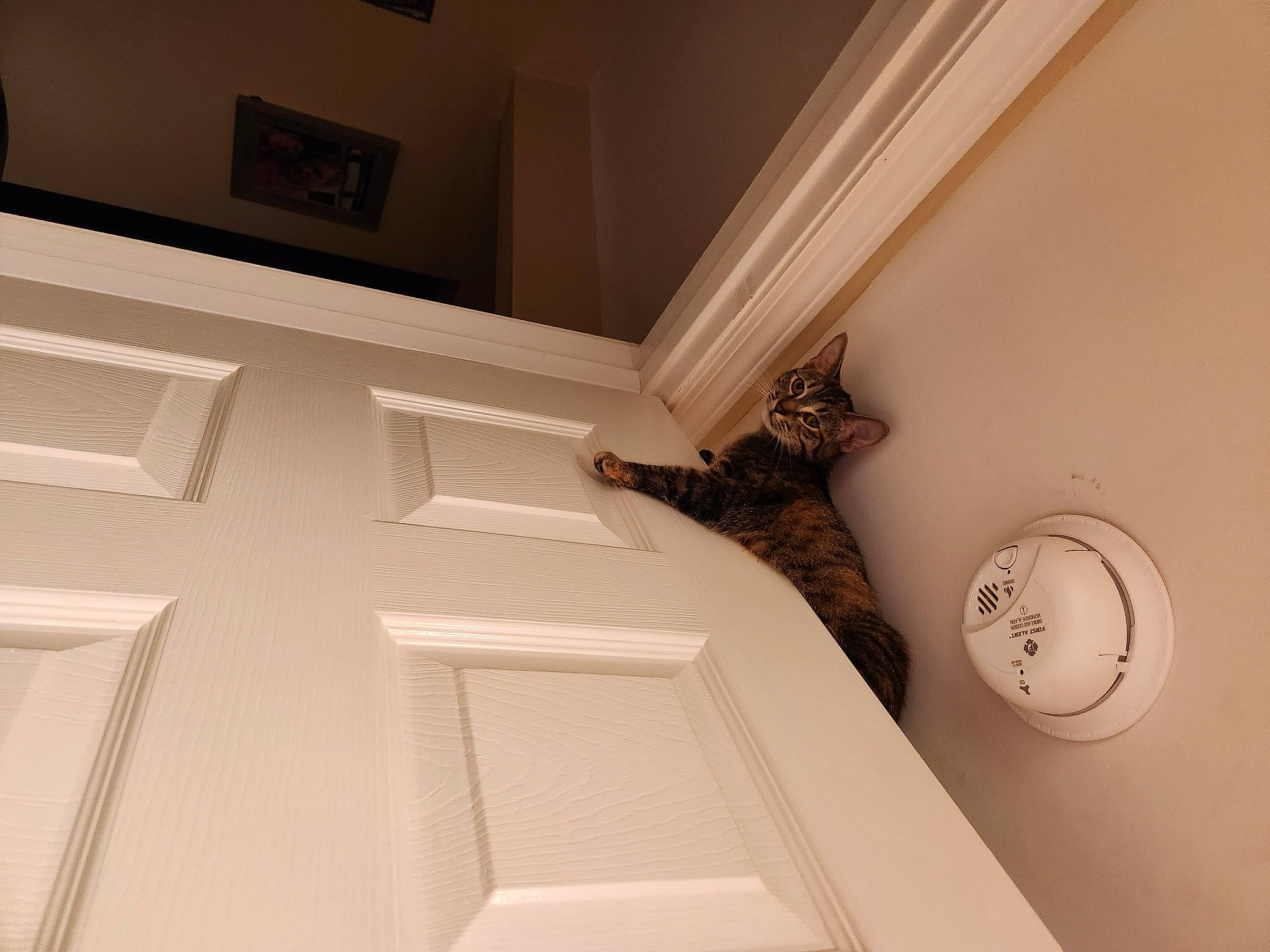 Nellybell joined the competition — help win amazing prizes! beige, building, ceiling, door, fixture, floor, flooring, hardwood, home_door, house, material_property, mechanical_fan, metal, molding, plaster, rectangle, room, tints_and_shades, wall, wood