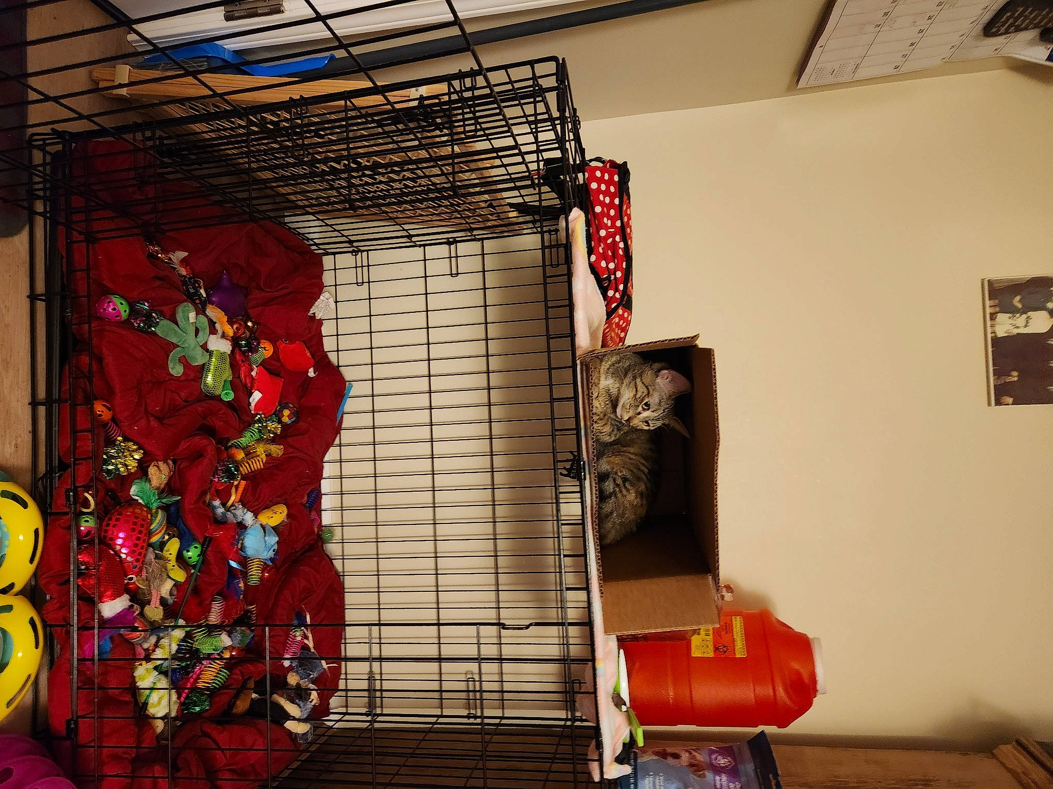 Nellybell joined the competition — help win amazing prizes! art, building, cage, ceiling, facade, flooring, glass, graffiti, graphics, house, illustration, interior_design, machine, red, room, toy, tree, visual_arts, wall, wood