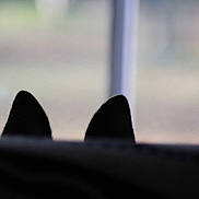 Iris participe au concours pour gagner de l'argent avec cette photo :