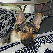 Iris participe au concours pour gagner de l'argent avec cette photo :