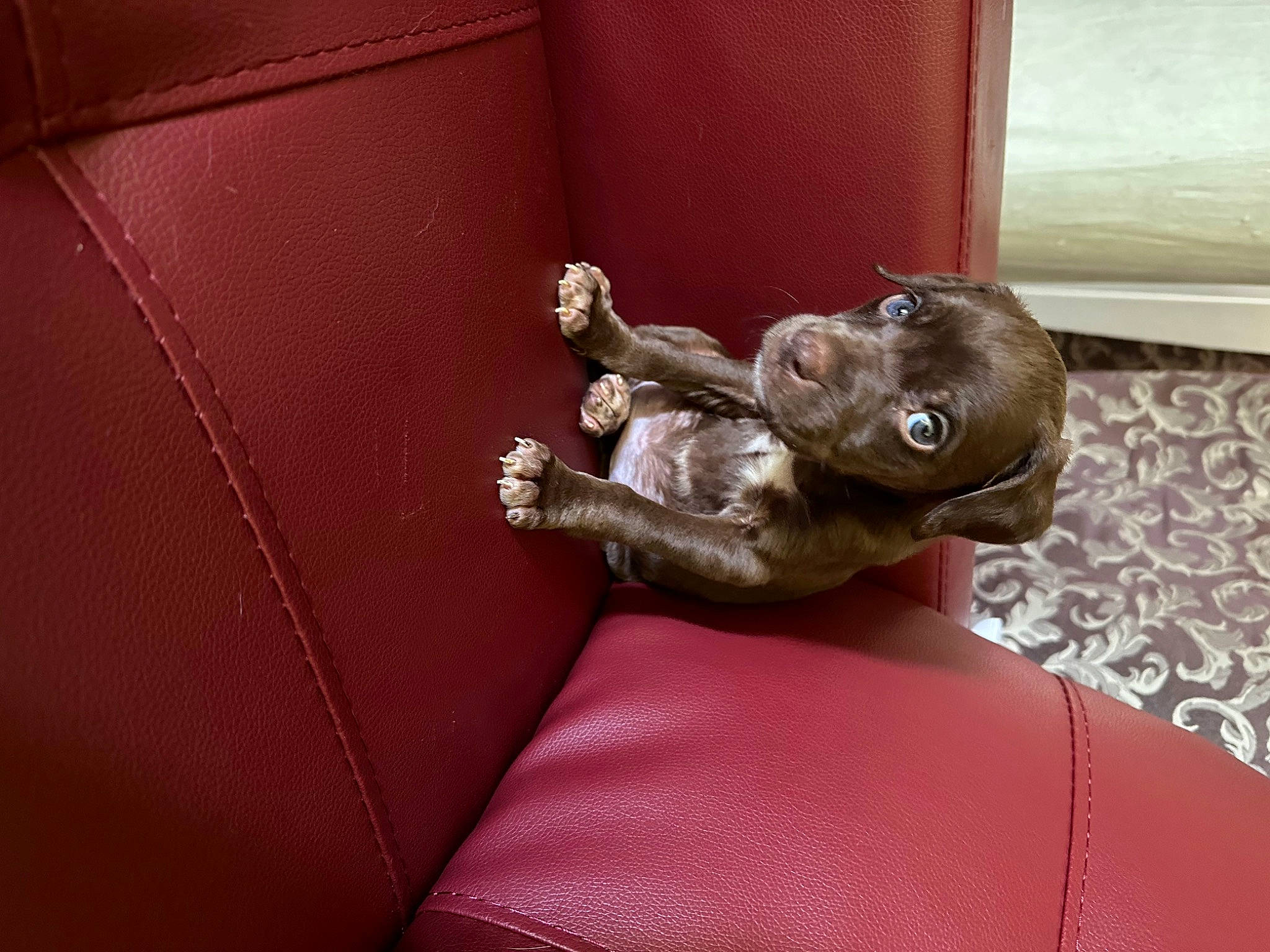 Miggy Jose is registered to the contest to win money with this photo: art, artifact, auto_part, car, chair, comfort, door, door_handle, gas, human_leg, magenta, metal, motor_vehicle, plant, room, sculpture, vehicle, vehicle_door, wood