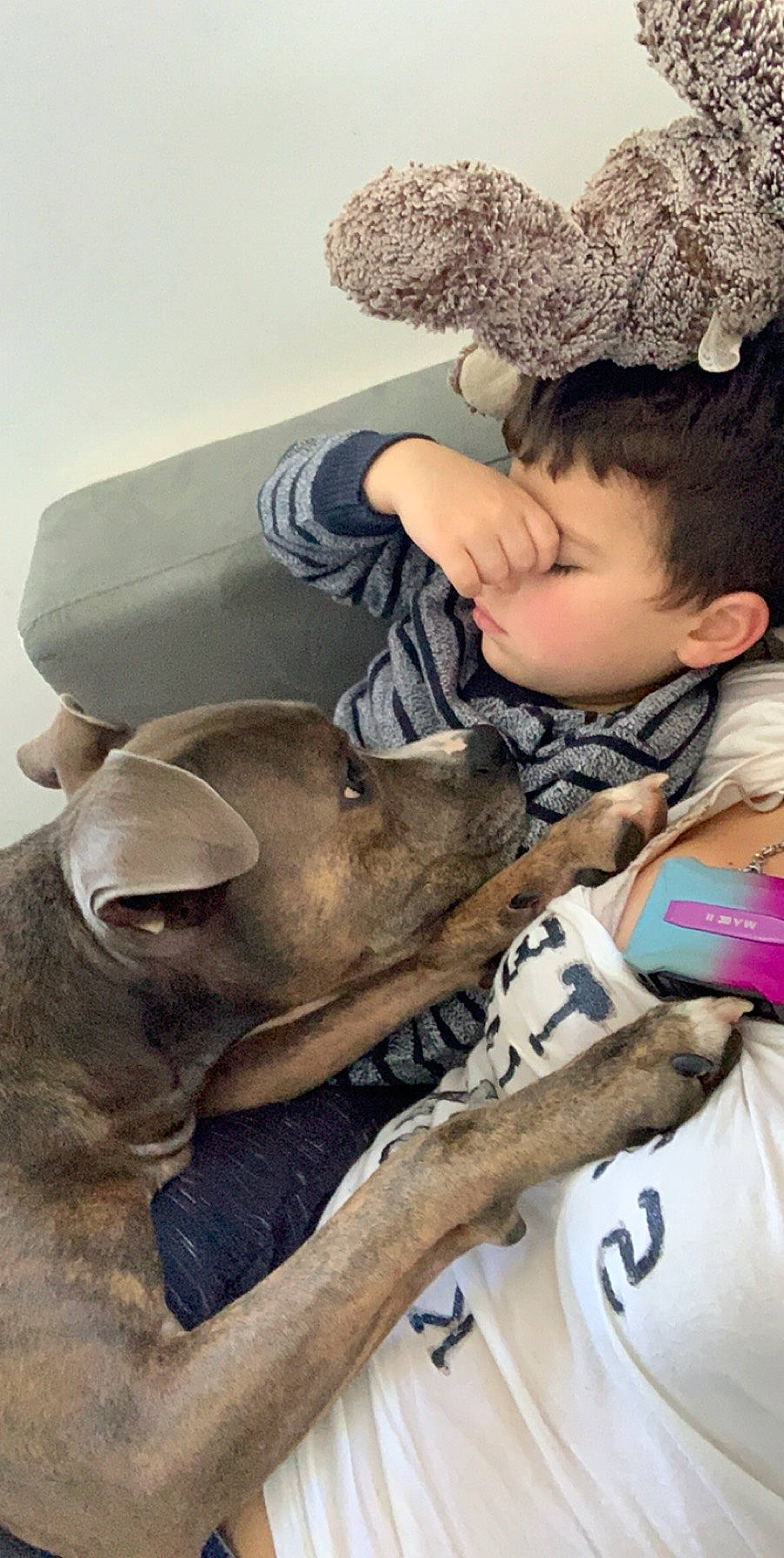 Faust a rejoint le concours — aidez-le/la à gagner de superbes lots ! canidae, child, ear, fawn, sporting_group